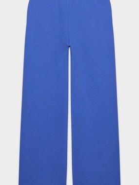 Aritzia Electric Blue Wide-Leg Track Pants